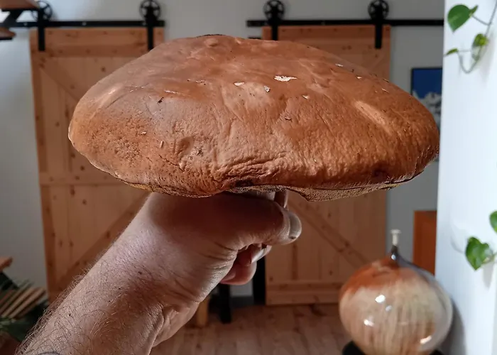 Przystanek Dzika Dolina Ladek-Zdroj