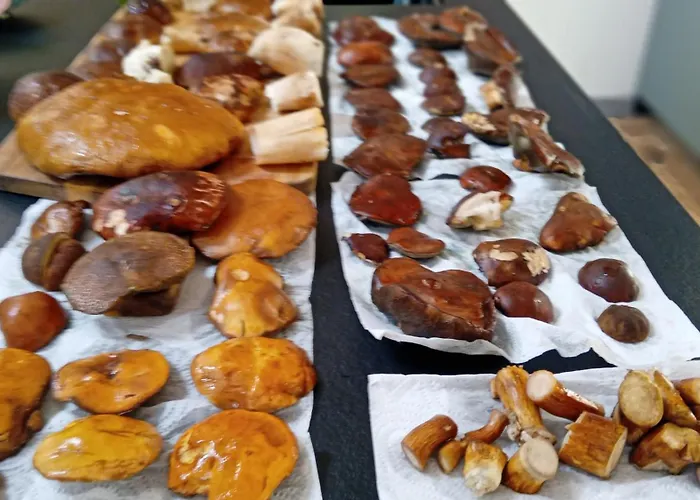 Przystanek Dzika Dolina Apartment