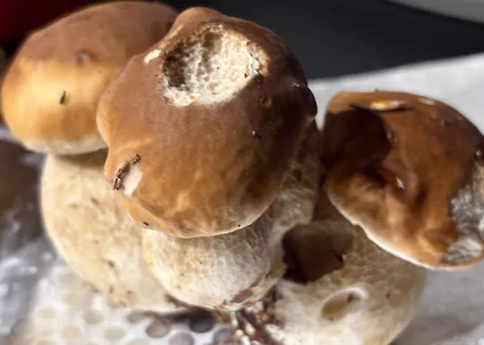 Przystanek Dzika Dolina Apartment Ladek-Zdroj