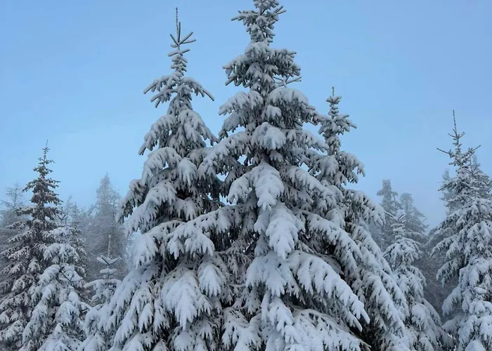 Apartment Przystanek Dzika Dolina