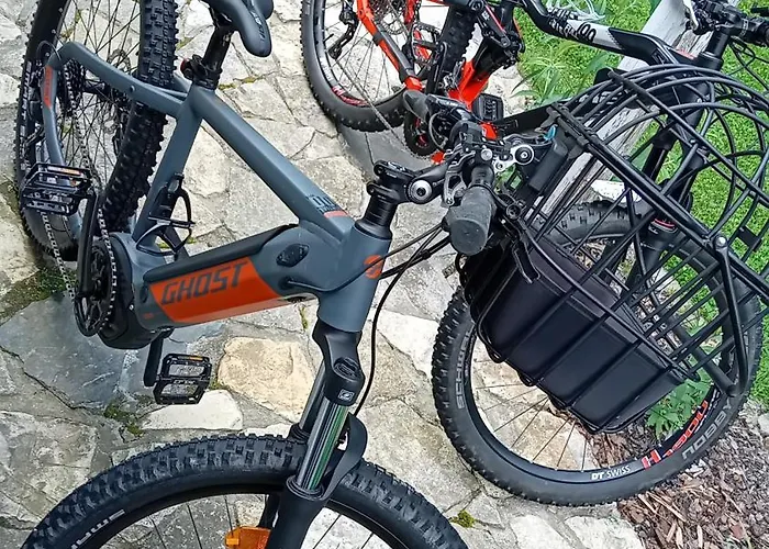 Przystanek Dzika Dolina Apartment *