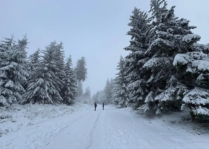 Przystanek Dzika Dolina Apartment Ladek-Zdroj