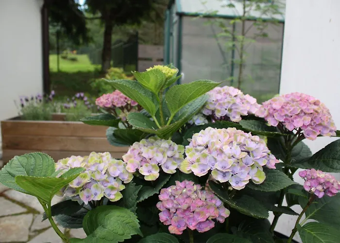 Przystanek Dzika Dolina