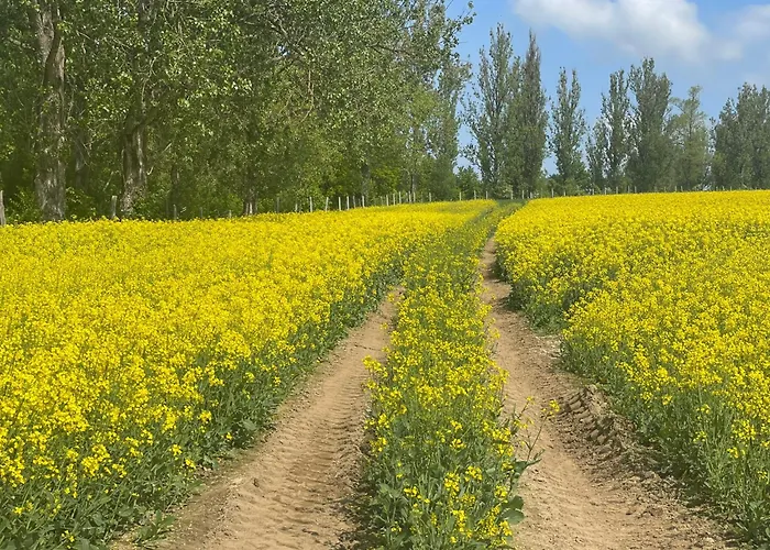 Przystanek Dzika Dolina Apartment