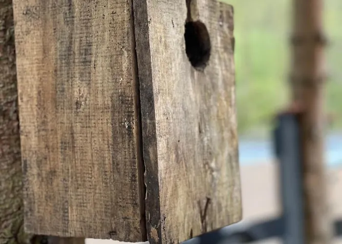 Apartment Przystanek Dzika Dolina