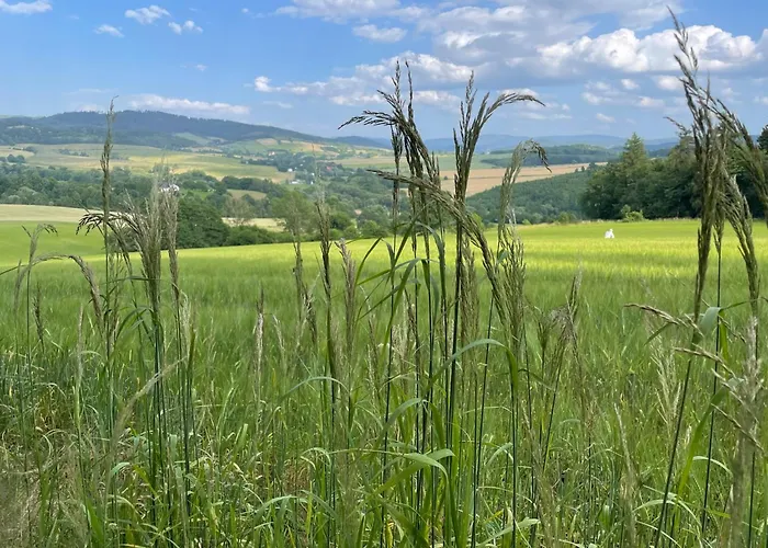 Przystanek Dzika Dolina Apartment *