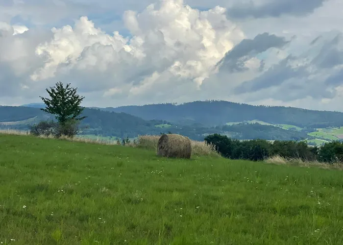 Apartment Przystanek Dzika Dolina *