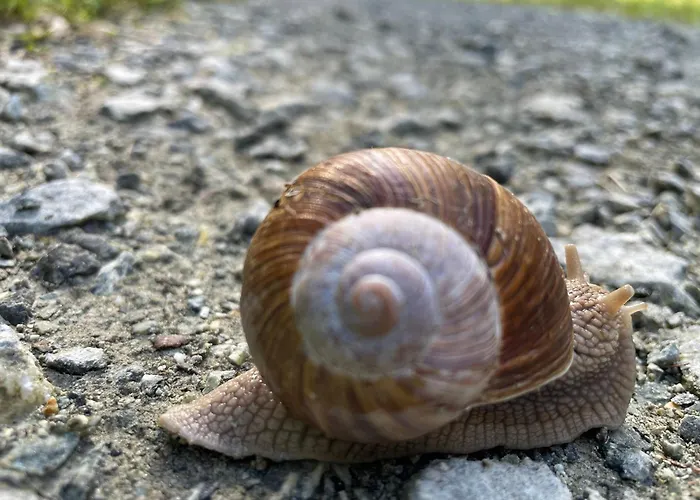 Apartment Przystanek Dzika Dolina Ladek-Zdroj