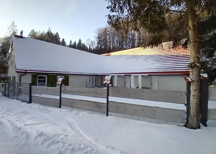 Przystanek Dzika Dolina *