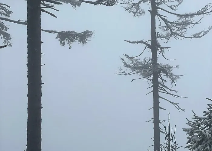 Przystanek Dzika Dolina * Ladek-Zdroj