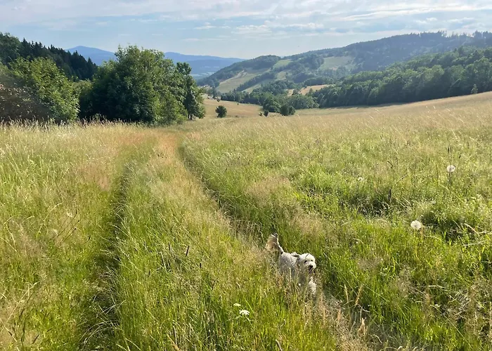Przystanek Dzika Dolina Apartment *