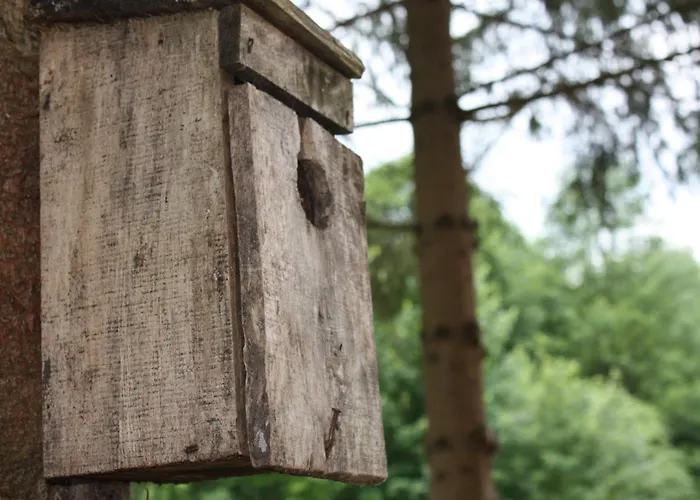 Apartment Przystanek Dzika Dolina *