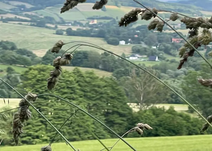 Przystanek Dzika Dolina Apartment Ladek-Zdroj