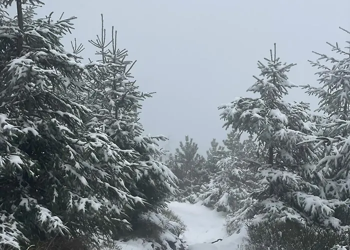 Apartment Przystanek Dzika Dolina Ladek-Zdroj