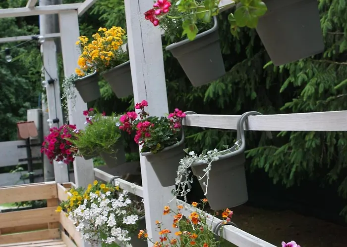 Przystanek Dzika Dolina * Ladek-Zdroj