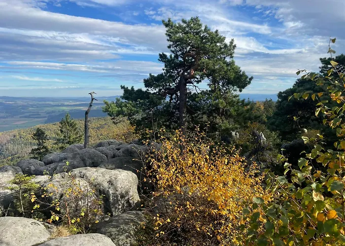 Przystanek Dzika Dolina Apartment