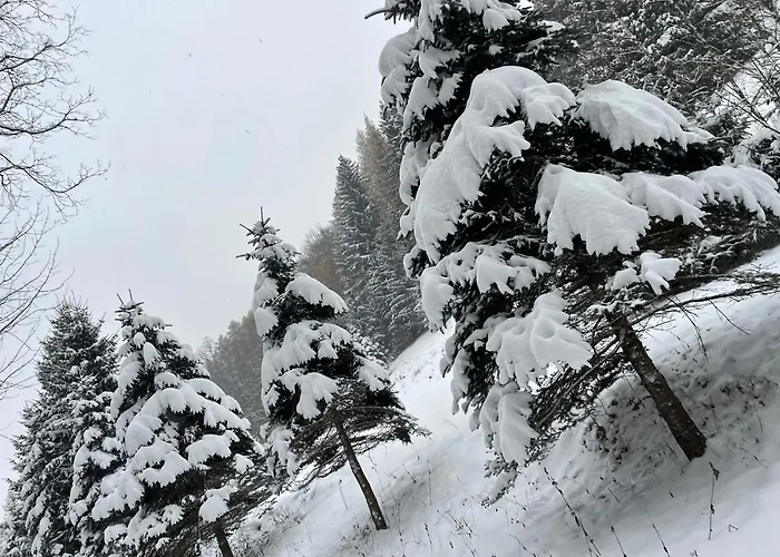 Apartment Przystanek Dzika Dolina