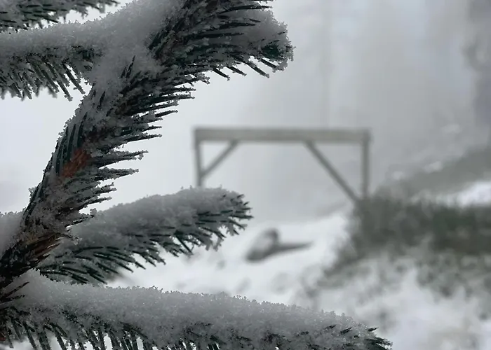 Przystanek Dzika Dolina Apartment Ladek-Zdroj