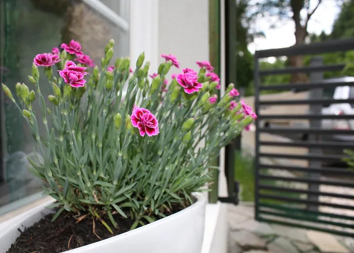 Apartment Przystanek Dzika Dolina Ladek-Zdroj