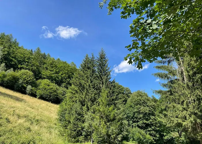 Przystanek Dzika Dolina *