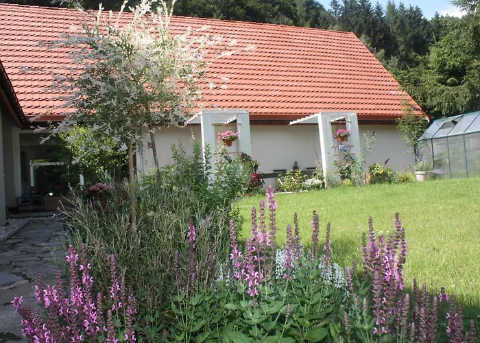 Przystanek Dzika Dolina