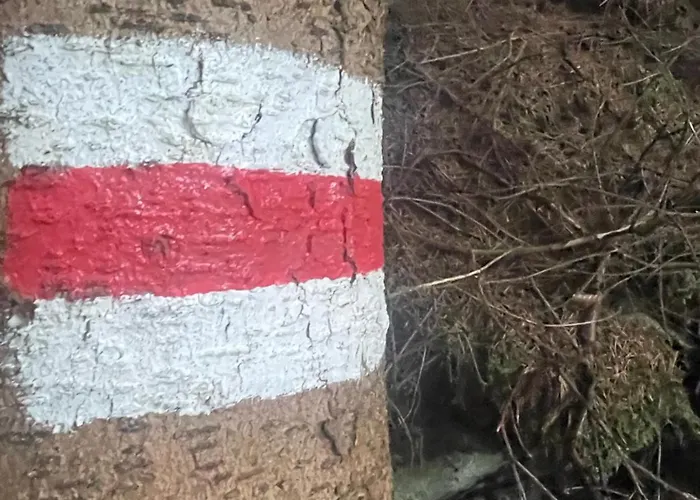 Apartment Przystanek Dzika Dolina