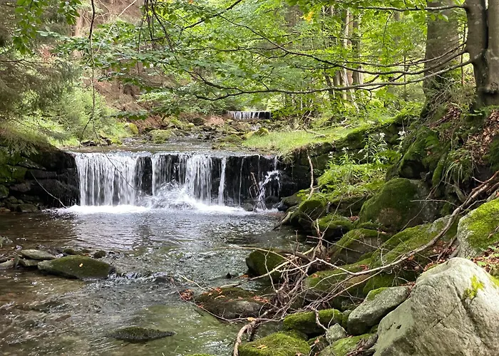 Przystanek Dzika Dolina *