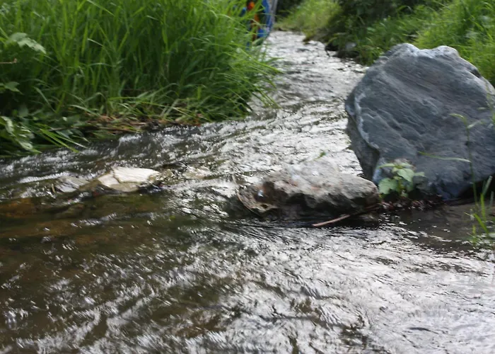 Przystanek Dzika Dolina Ladek-Zdroj