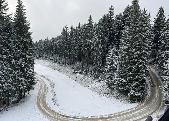 Przystanek Dzika Dolina *